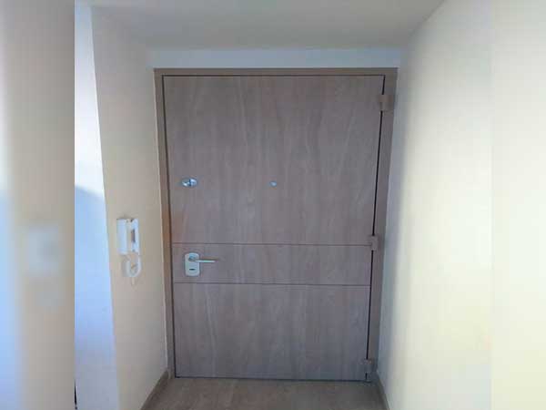 Puerta de seguridad (1)