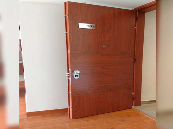 Puerta de seguridad (2)